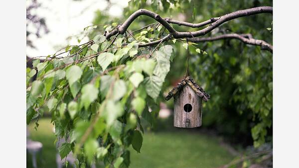 Themenbild: Vogelhäuschen Themenbild: Vogelhäuschen