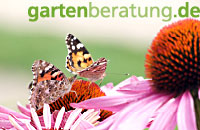 gartenberatung.de