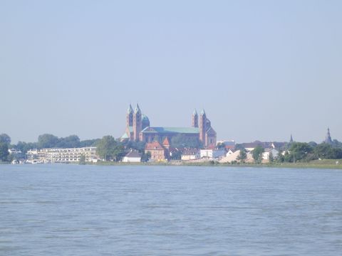 Rhein 2013