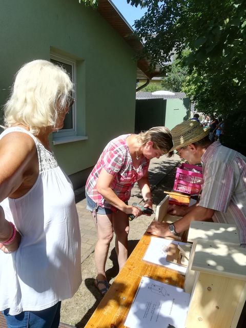 Nistplatz basteln