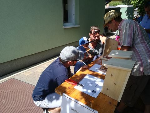 Nistplatz basteln