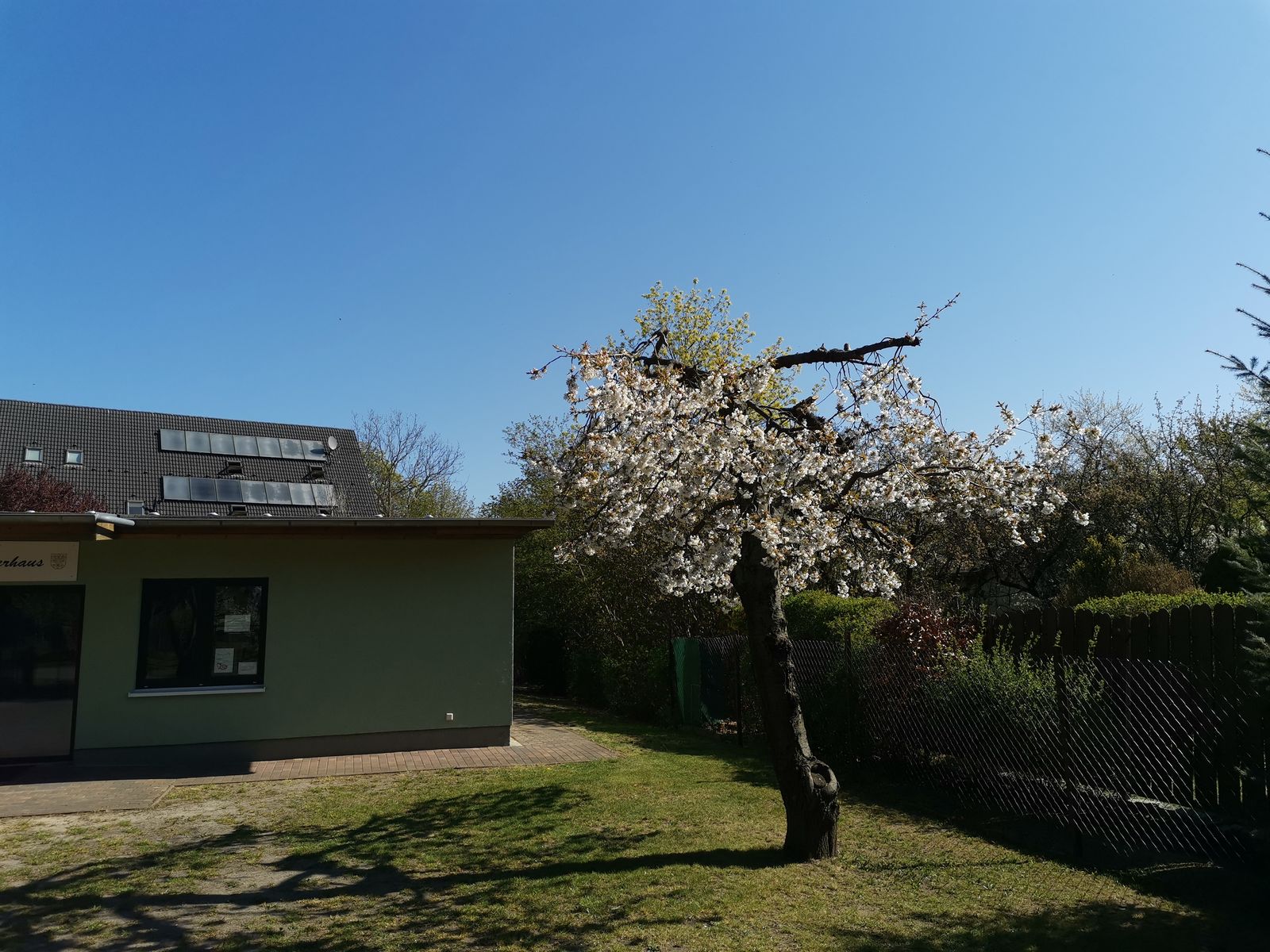 ... und das war die Natur vor unserem Haus