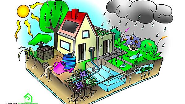 Themenbild: Wasser im Hausgarten
