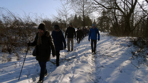 Winterwanderung 2017