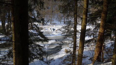 Winterwanderung 2017