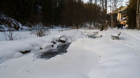 Winterwanderung 2017