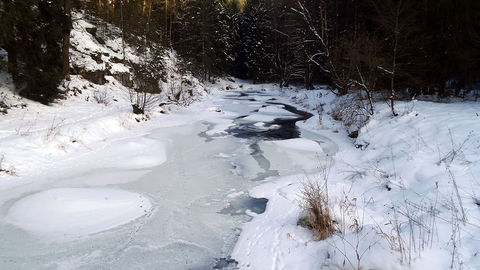 Winterwanderung 2017