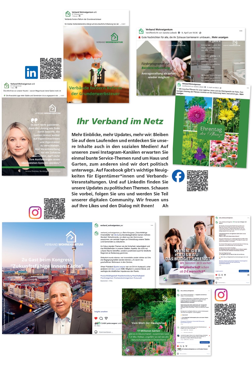 Verband im Netz
