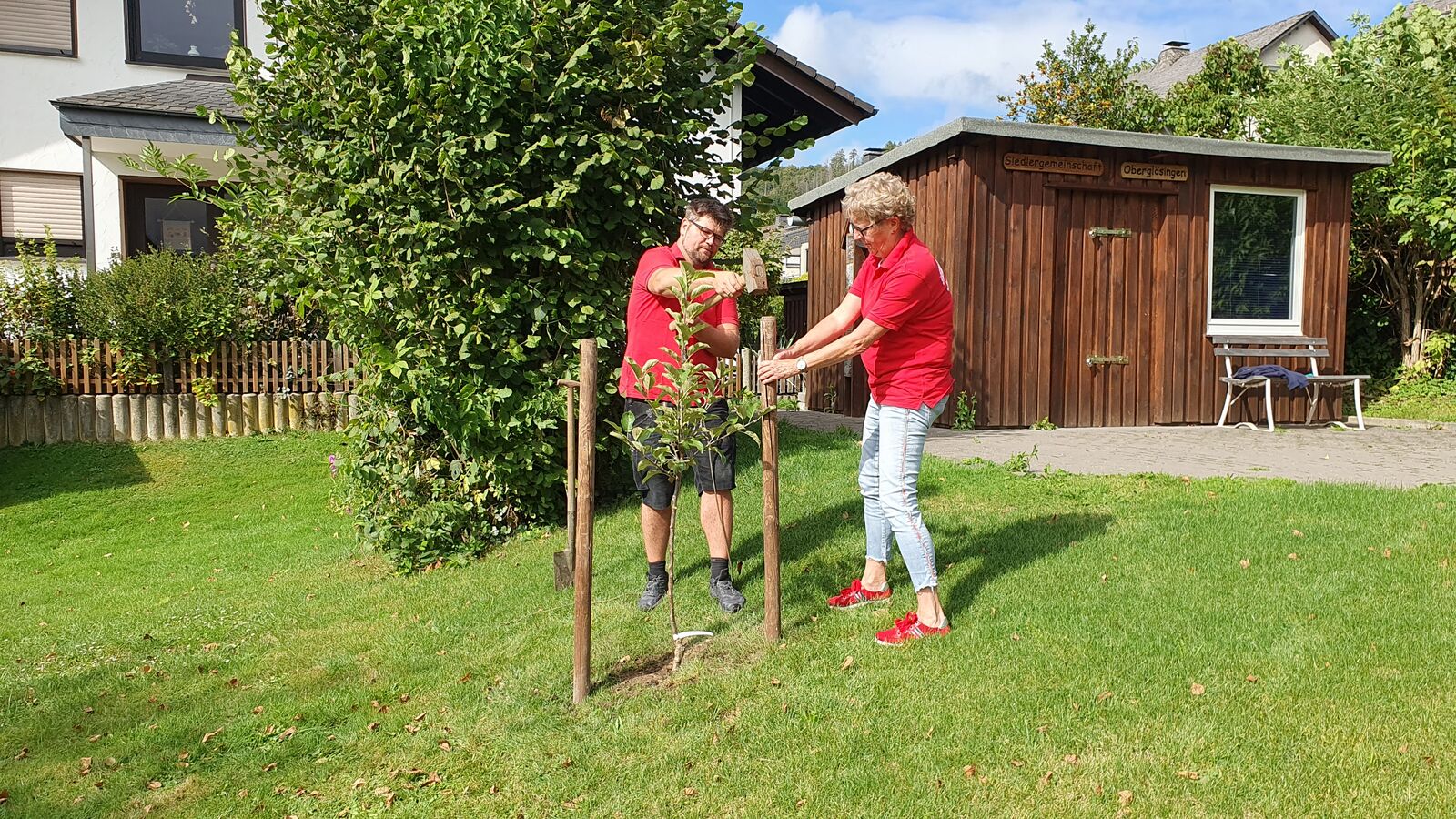 Baumpflanz Challenge