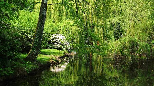 Themenbild: Natur-pur