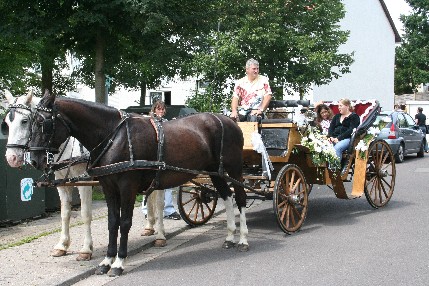 Pferdekutsche