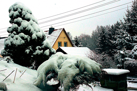 Schneebruch verhindern!