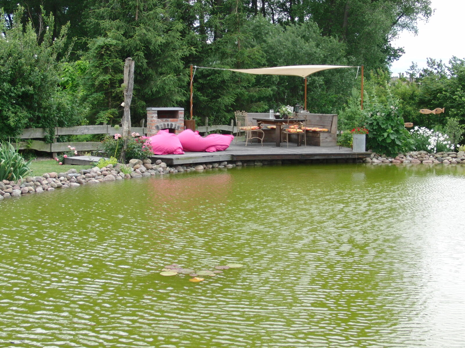 grüner Teich mit Holzterrasse hinten