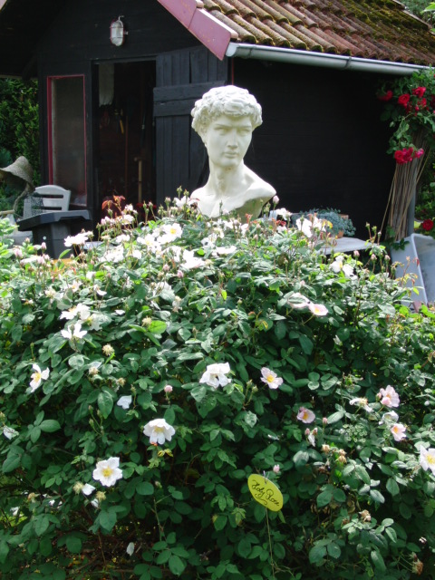 Kopf einer Skulptur mit Rosen vor der Brust