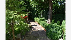 Gartenweg mit schattigen Stellen