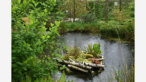 kleine Schwimminsel mit Pflanzen im Teich