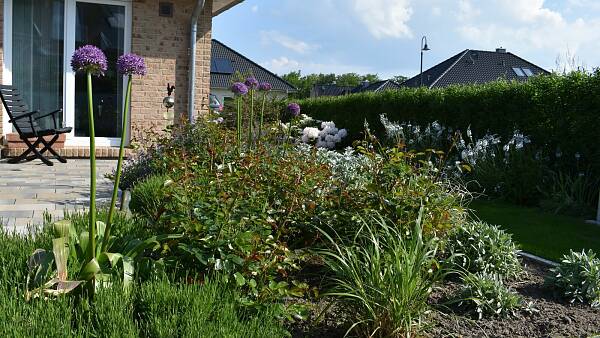 Themenbild: Blumenbeet mit Haus im Hintergrund