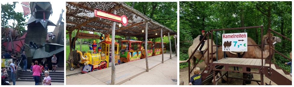 Attraktionen im Zoo für Kinder