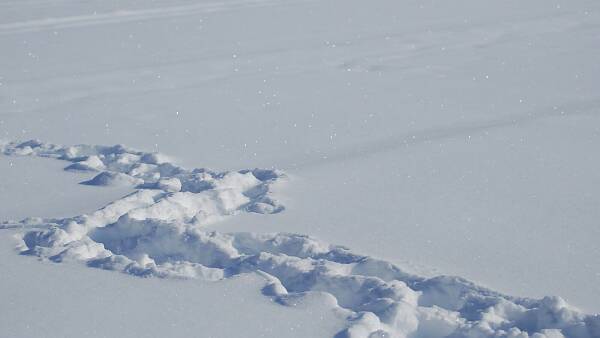 Themenbild: Fußspuren im Schnee