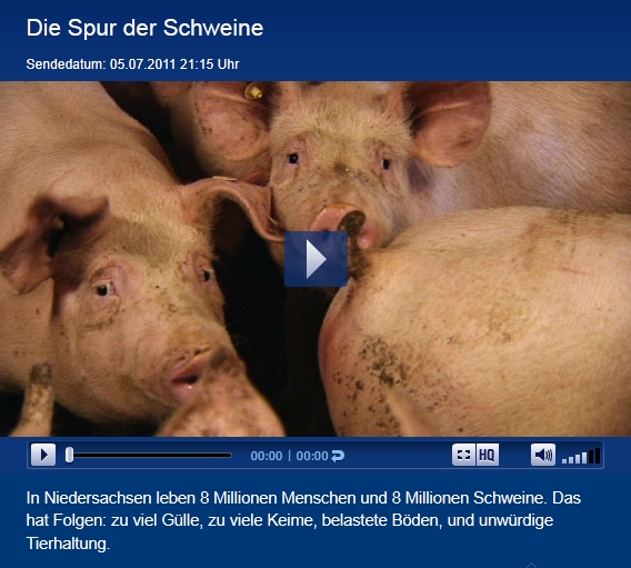 Die Spur der Schweine