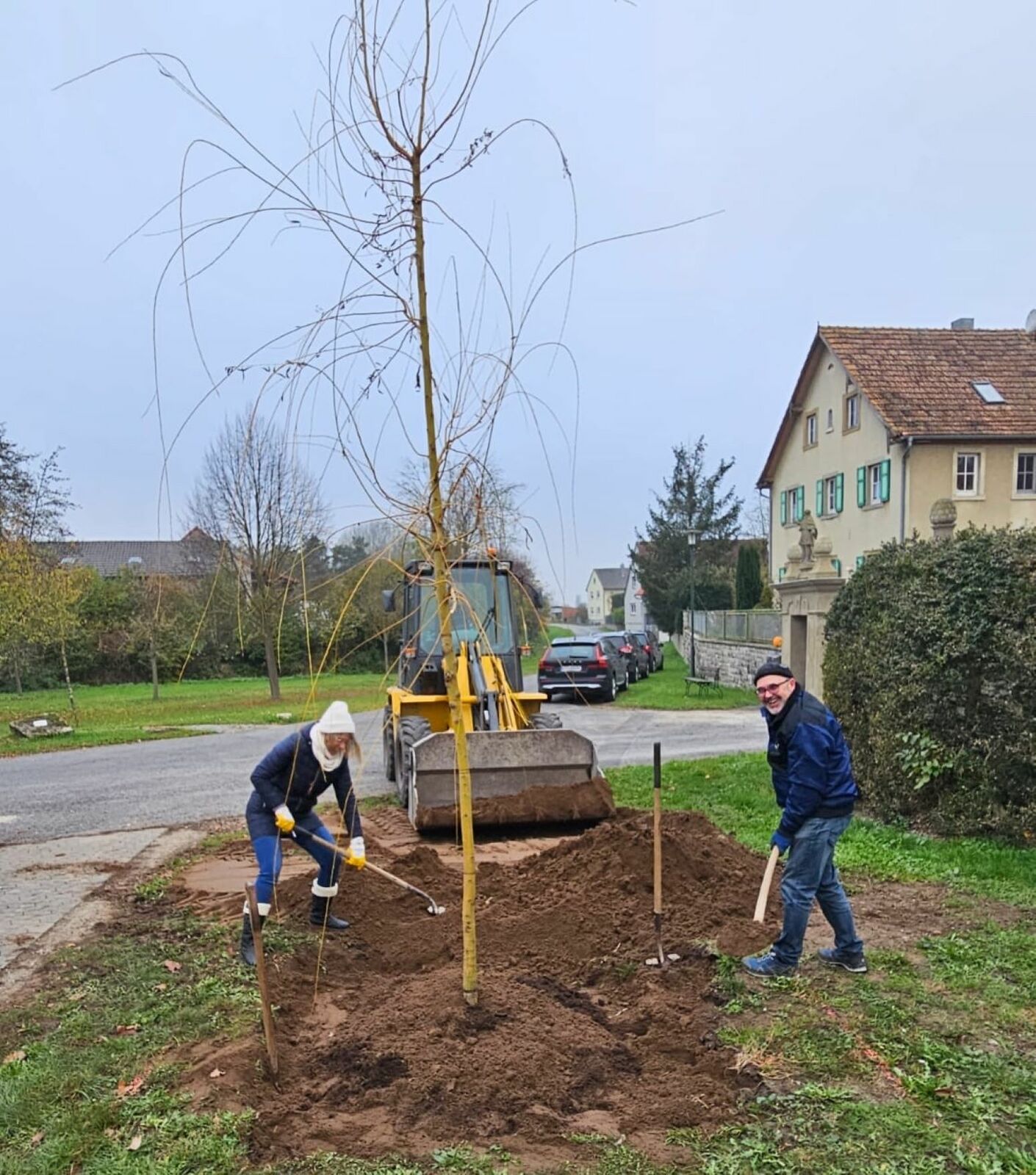 Duellstadt Weide Pflanzen