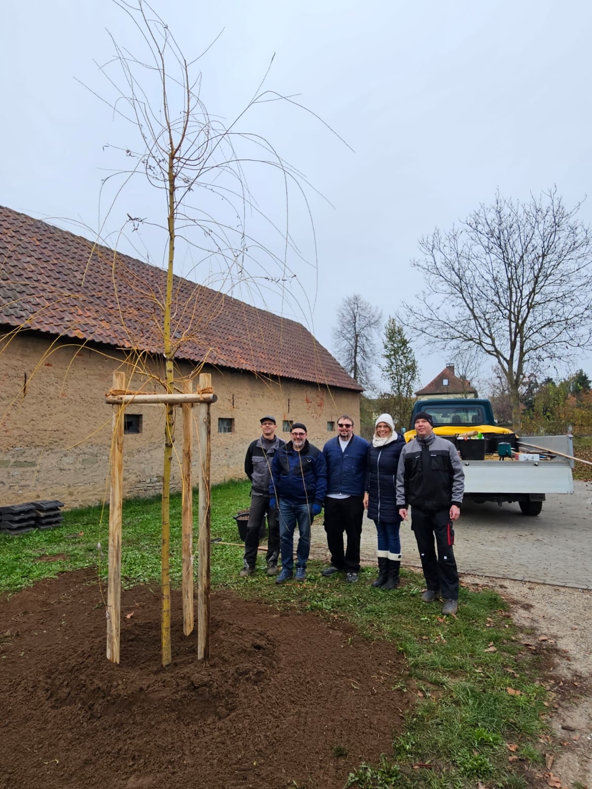 Duellstadt Weise Pflanzen