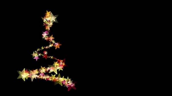 Themenbild: Weihnachtsbaum Themenbild: Weihnachtsbaum