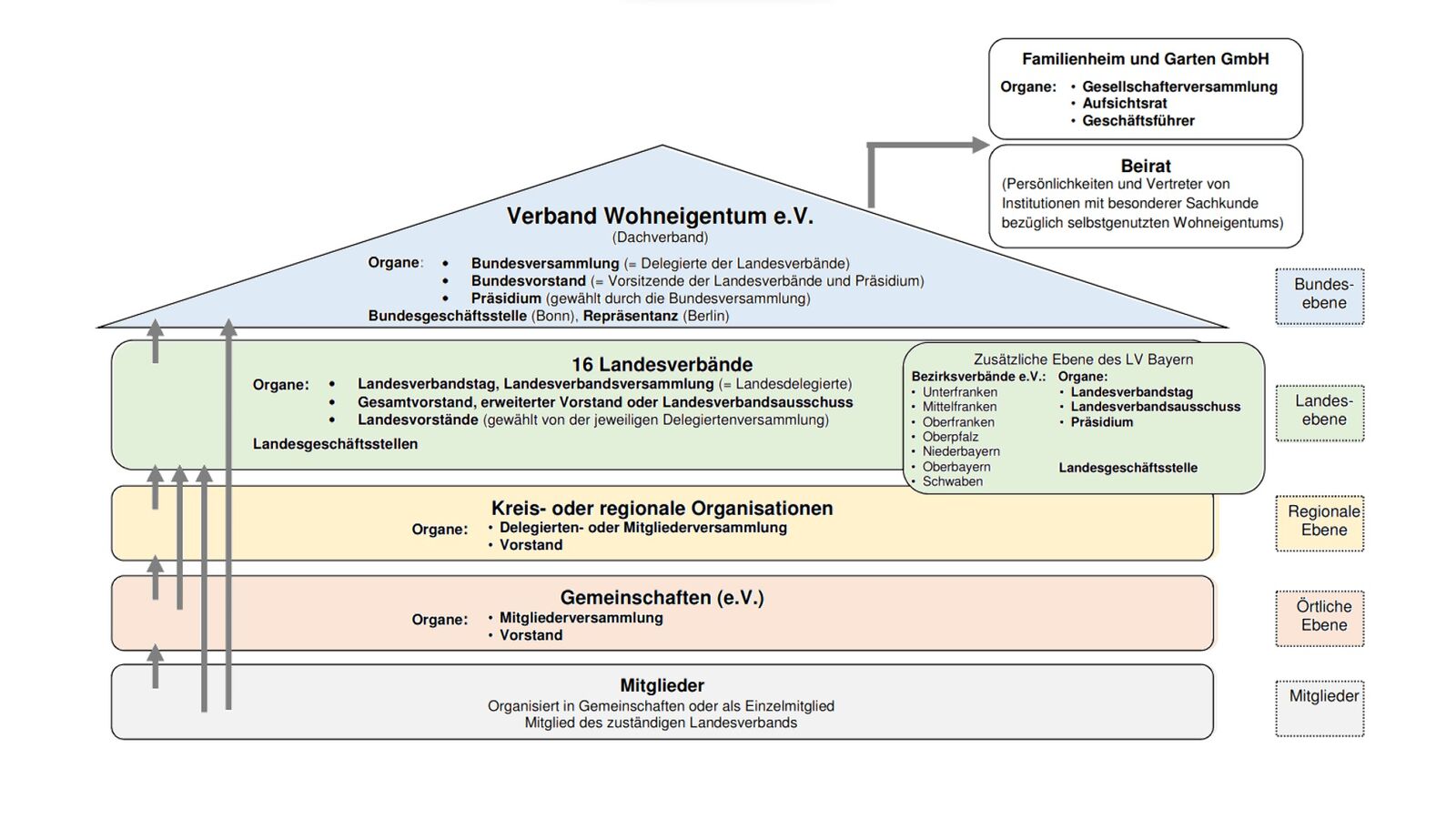 Organigramm