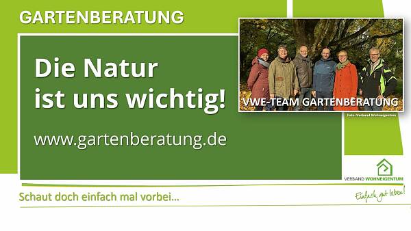 Themenbild: team Garten