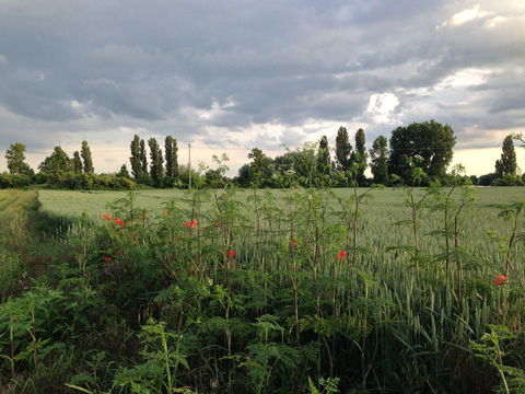 Blumenauer Bruch, 28.05.2014