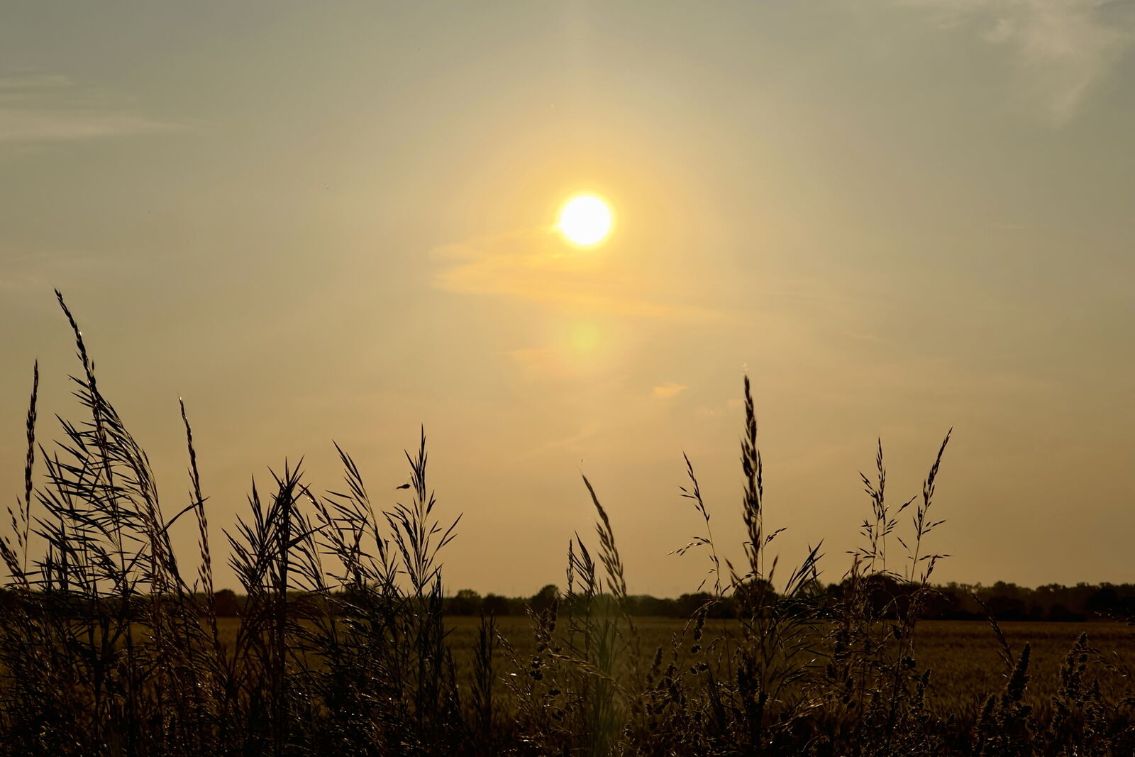 Sonnenuntergang Blumenauer Bruch, 28. Mai 2023