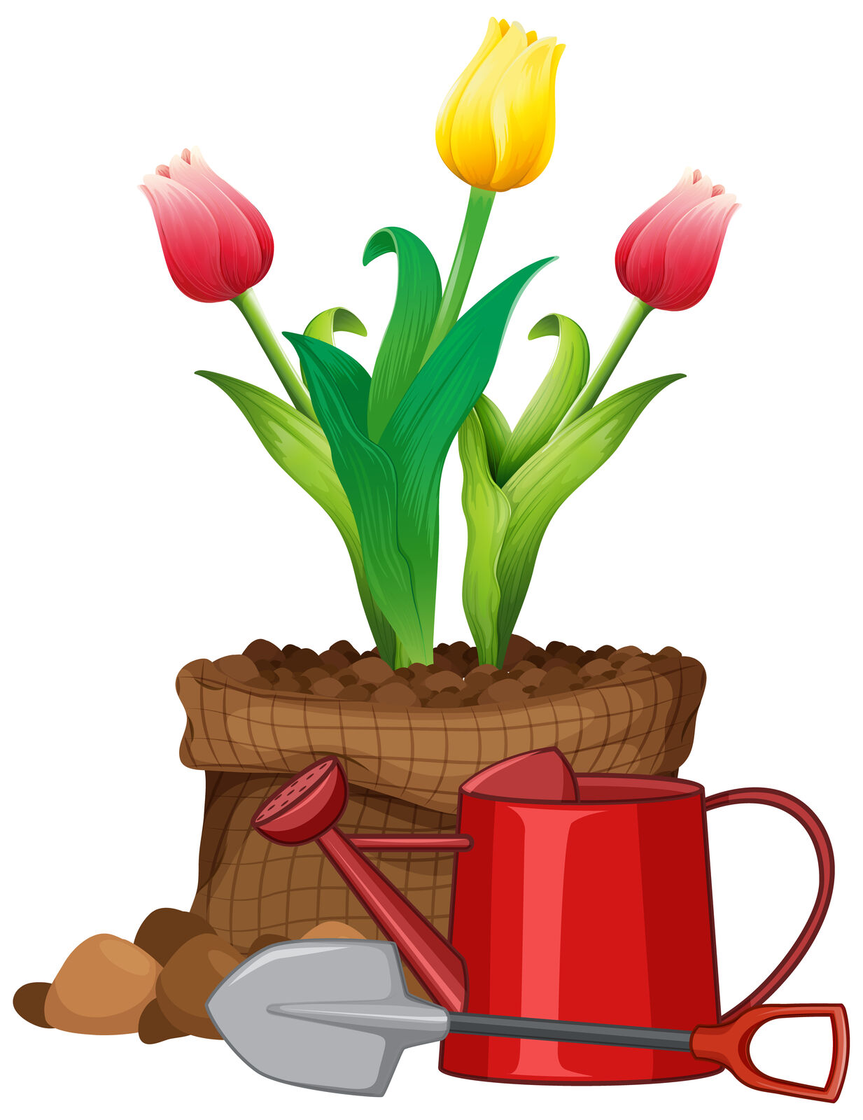 Tulpentopf_Gieskanne