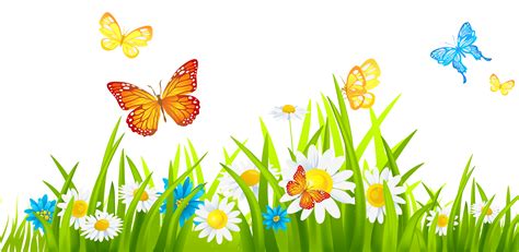 Sommerwiese