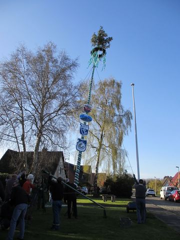 Maibaum