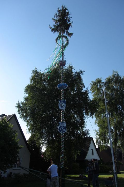 Der Maibaum