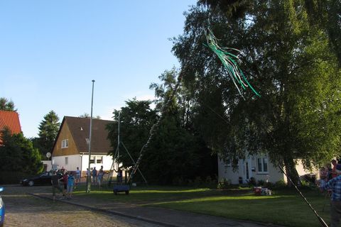 Der Baum fällt.