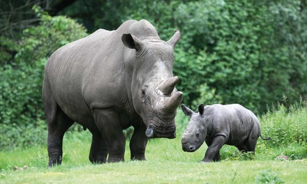 Burgers Zoo Arnheim