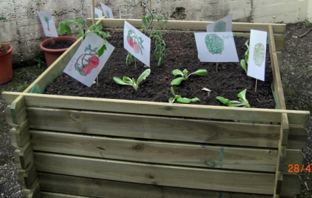 Pflanzaktion im Kindergarten 