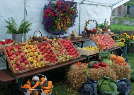 Blumenschmuck und Ernte - Erträge