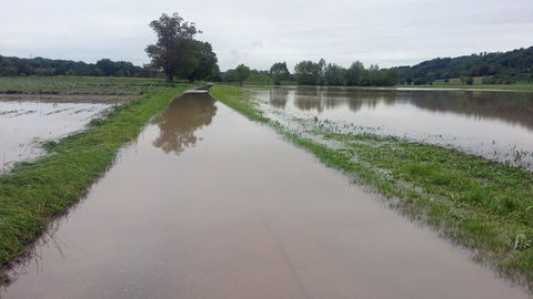 Hochwasser 02.06.2013