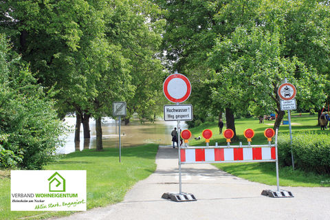 Überflutungsflächen in Heinsheim