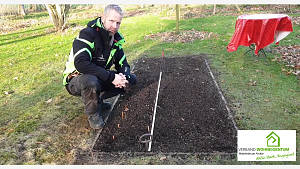 Pflanzen im Garten über Steckholz vermehren