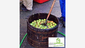 Vor dem Maischen werden die Äpfel gründlich gewaschen.