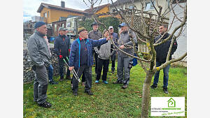 Strauch- und Obstbaumschnittkurs am 16.03.2024