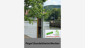Pegel Gundelsheim / Neckar