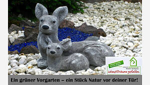 Ein grüner Vorgarten - ein Stück Natur vor deiner Tür!