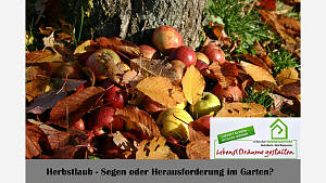 Herbstlaub - Segen oder Herausforderung im Garten?