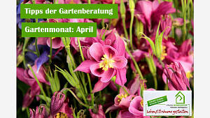 Gartenmonat: April
