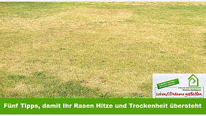 Fünf Tipps, damit Ihr Rasen Hitze und Trockenheit übersteht