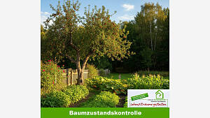 Baumkontrolle